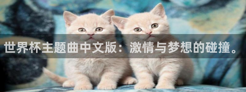 世界杯比赛赛程：世界杯主题曲中文版：激情与梦想的碰撞。