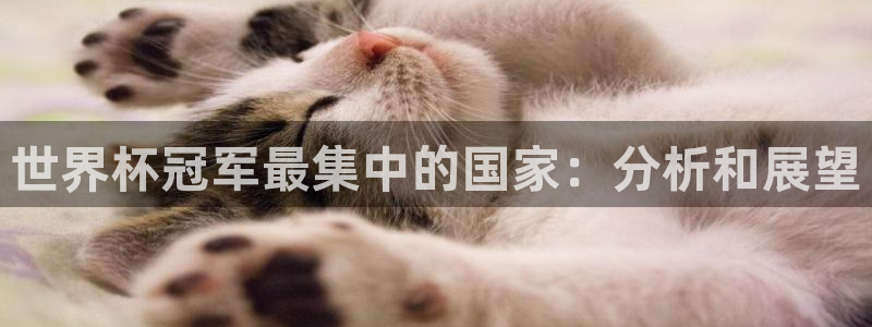 世界杯决赛预测：世界杯冠军最集中的国家：分析和展望