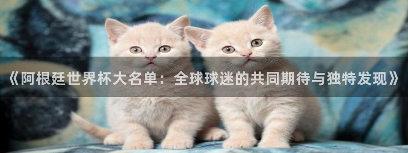 26世界杯：《阿根廷世界杯大名单：全球球迷的共同期待与独特发现》