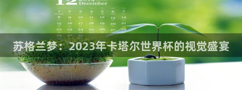 免费看足球直播比赛：苏格兰梦：2023年卡塔尔世界杯的视觉盛宴