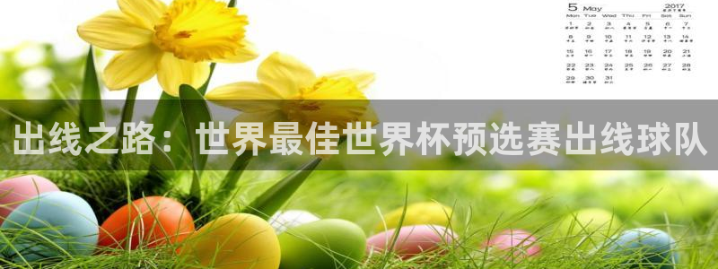 世界杯欧洲区预选赛赛程：出线之路：世界最佳世界杯预选赛出线球队