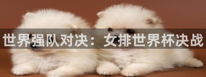 2006年世界杯冠军：世界强队对决：女排世界杯决战