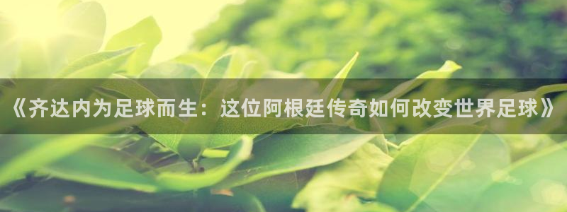 2026世界杯亚洲区预选赛赛程：《齐达内为足球而生：这位阿根廷传奇如何改变世界足球》