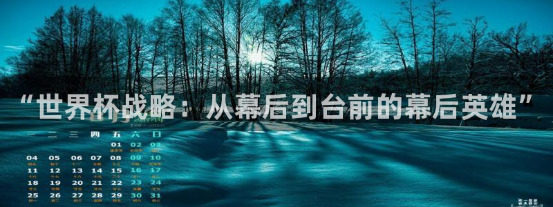 世界杯官网入口：“世界杯战略：从幕后到台前的幕后英雄”