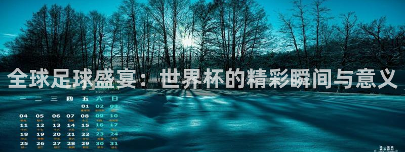 世界杯欧洲区世预赛赛程：全球足球盛宴：世界杯的精彩瞬间与意义