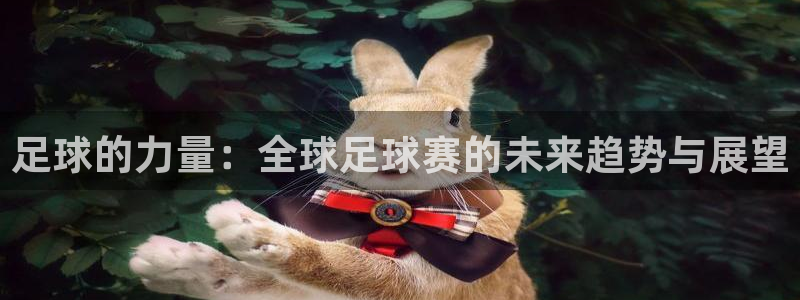 世界杯在线直播：足球的力量：全球足球赛的未来趋势与展望