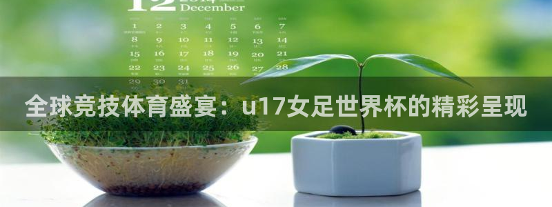 2026世界杯赛：全球竞技体育盛宴：u17女足世界杯的精彩呈现