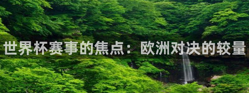 2026世界杯足球赛程时间表：世界杯赛事的焦点：欧洲对决的较量