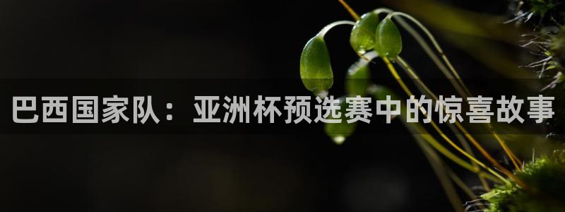 世界杯预选赛欧洲区赛程：巴西国家队：亚洲杯预选赛中的惊喜故事