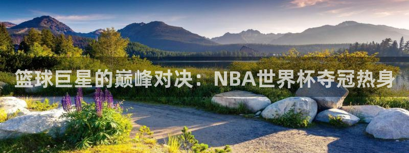 世界杯对阵图2026：篮球巨星的巅峰对决：NBA世界杯夺冠热身