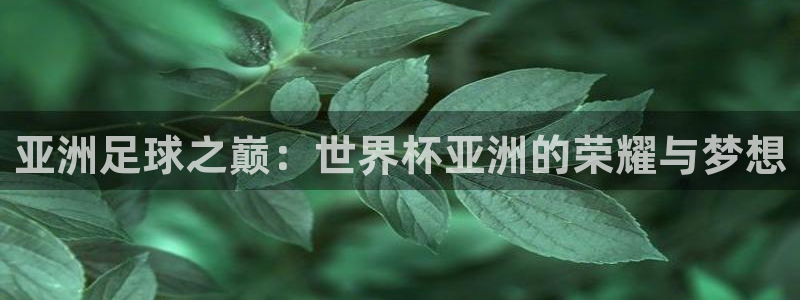 世界杯决赛直播：亚洲足球之巅：世界杯亚洲的荣耀与梦想