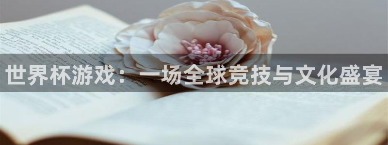 2026男足世界杯：世界杯游戏：一场全球竞技与文化盛宴